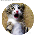 於 2022年1月29日 (六) 01:46 版本的縮圖
