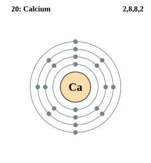 Electron shell 020 Calcium.svg