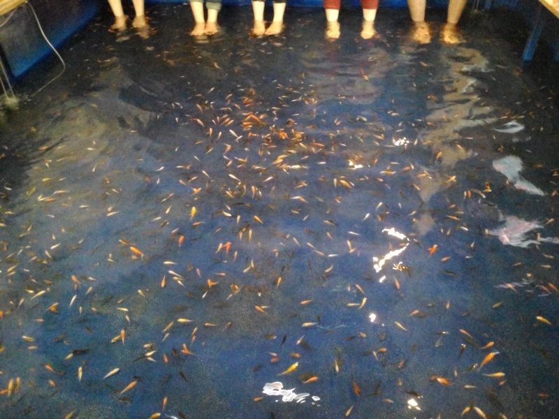 檔案:Tmp IMG 20140113 1421061691541688.jpg