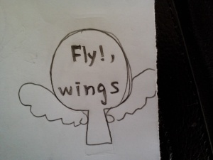 Fly wings.jpeg